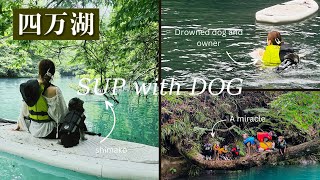 【夏のお出かけ】四万湖でSUPして日帰り温泉とグランピング施設でBBQしたらさすがに愛犬がへとへとだった♡