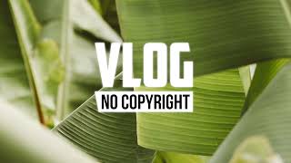 Notiluz - Euphoria (Vlog No Copyright Music)