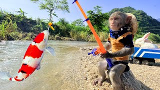 Baby monkey Bim Bim And Rabbit Go Koi Fishing to Raise | Baby Monkey Animal