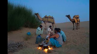 A glimpse of our tours in the Thar desert, Jaisalmer, Rajasthan