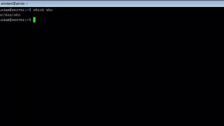 Linux - which Command - w3resource