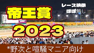 【4K】帝王賞 2023 喧騒を楽しむ＠大井競馬場 Twinkle レース