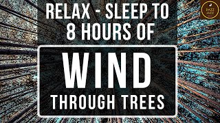 8 HOURS -WIND/BREEZE THROUGH TREES -Meditation-Stress Relief-Sleep-Dazz Jazz Therapy (2020)