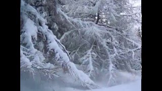 Feldberg - Cross country Ski