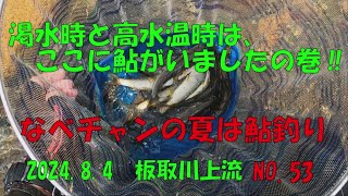 【鮎釣り】渇水時と高水温時は、ここに鮎がいましたの巻‼　なべチャンの夏は鮎釣り　2024 8 4　板取川上流