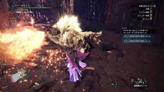 MHW I　「君はゴールデントロフィー」　歴戦激昂ラージャン　23分38秒　大剣　初見