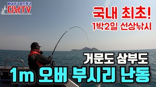 배에서 1박2일, 거문도·삼부도권 참돔·부시리 선상찌낚시 [디낚TV 취재브리핑]