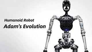 Adam: The First High-Biomimetic Humanoid Robot-Hardware Architecture Design