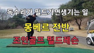 독수리가 필드가면 생기는일~(몽베르 전반)