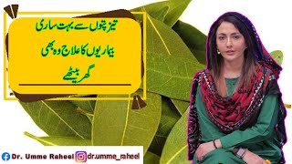 Many Treatments Of Uses Bay Leaves|Taiz Pata (Bay leaf) Khane ke Fayde |Dr.Umme Raheel