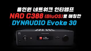 올인원 네트워크 인티앰프 나드 C388 BluOs 로 매칭한 다인오디오 Evoke 30 / Dynaudio Evoke30, Nad C388