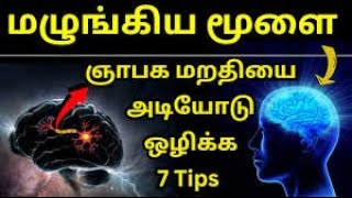 Brain Detox🔥| மூளை🧠கழிவுகளை சுத்தப்படுத்துங்கள் | தூக்கமின்மை, ஞாபக மறதி, Insomnia #brain #health