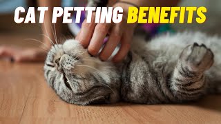The BENEFITS of PETTING Your CAT 🤚🏻🐱 (For Both of You)