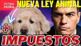 💥LA NUEVA LEY ANIMAL YA COBRA SU PRIMERA VÍCTIMA! ¿IMPUESTOS PARA MASCOTAS? PEDRO SANCHEZ GOLPEA!