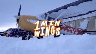 ✈️ ❄️ 🔥 😁 Ogrzewanie samolotu przed zimowymi lotami — #1MinuteWings