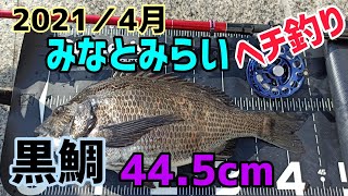 第16回／2021年4月みなとみらい・ヘチ釣り黒鯛44.5cm