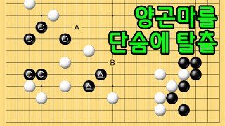 baduk school 바둑스쿨/ 양곤마를 단숨에 탈출!