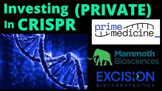 Investing in CRISPR (PRIVATE) Complete GUIDE (Prime \u0026 Beyond)