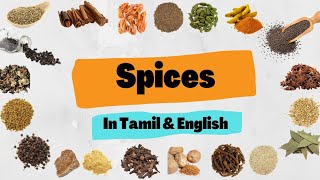 Spices Names in Tamil \u0026 English | வாசனைப் / நறுமணப் பொருள்கள் | மசாலா பெயர்கள் |அஞ்சரைப் பெட்டி.....