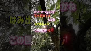 【中野信子先生】日本の社会で生きていくための戦略 日本人が持つ特性（遺伝子的傾向）を知ることで見えてくるものがあります #shorts #中野信子#脳科学#脳科学者#戦略