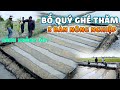 Quanglinhvlogs || Bố Quý 