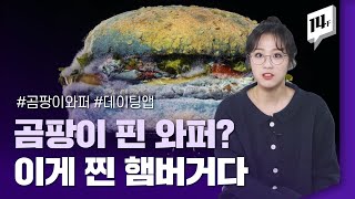 버거킹은 왜 이런 햄버거를 만든 걸까..? (말.잇.못) / 14F