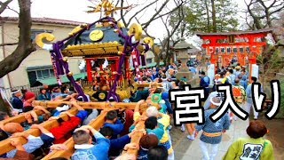 31年　　　塚越稲荷神社「初午祭」宮入り　本社黒屋根大神輿おもてなし渡御（埼玉県蕨市）です。