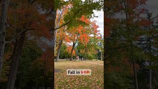 Do you like Spring or Fall ? Comment below #autumn #fallcolors #ontario #canada