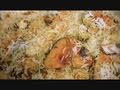 Fish Biryani - how to cook fish biryani Fish Biryani - how to cook fish biryani