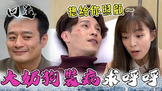 天道 EP155｜奶狗室友英雄救美受傷求呼呼！這裡痛那裡痛 快來照顧我～｜精華