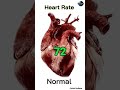 HEART RATE ? | Normal heart rate | Bradycardia| Tachycardia #hr #heatbeat