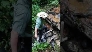 INSTALACIÓN EN NACIENTE DE AGUA