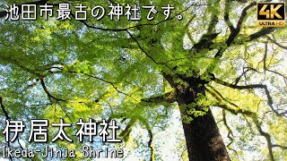 池田市最古の神社です。伊居太神社/大阪府池田市【関西秘境巡り 4K Go on a journey!!】japan,osaka