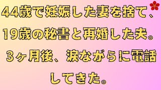 【スカッと総集編】44歳で妊娠した妻を捨て、19歳の秘書と再婚した夫。3ヶ月後、涙ながらに電話してきた。【スカッとする話】【スカッと】