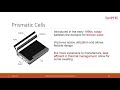 Lecture 24 - Li-Ion Battery Cells