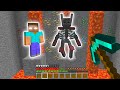 Minecraft: Mutant Wither Skeleton OR Herobrine??? #shorts