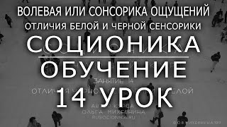 14 Соционика – обучающий курс. Занятие 14.Отличия черной и белой сенсорики