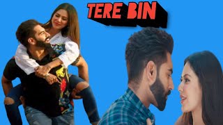 Tere Bin Full Song | Parmish Verma |Sonam Bajwa | Jinde Meriye | Really life connection 2018