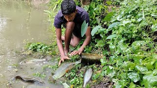 গ্রামে বৃষ্টির দিনে উজানো মাছ শিকার।। কৈ মাছ /পুটি মাছ/ শিং মাছ ধরা।। Village Fishing in Rainy Day