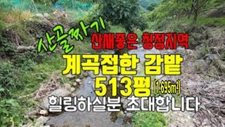 청도토지(72) 계곡접한감밭 선비부동산055-354-8757 청도군매전면토지 산골짜기토지 공기좋고조용한곳 자연인땅 매매가평당25만원