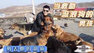 当救助流浪狗的男孩，剪去他留了半年的胡须后，还是那个少年吗？  -Dog rescue in China  20210314