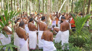 കൊടിമരവും ഭഗവതിമാരുടെ മുടിക്കുള്ള മുടി മരവും മുറിക്കൽ Part-2 live!