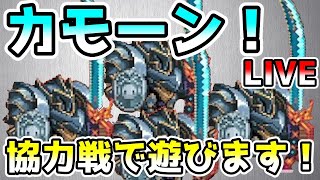 【ガデテル】キャモーン！協力戦で遊びます！LV低くても大丈夫！情報交換＆雑談配信：その72！初心者・初見大歓迎【ガーディアンテイルズ | Guardian Tales】