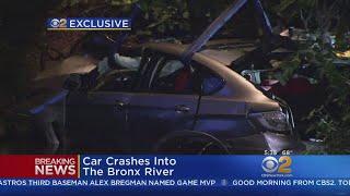 Car Crashes Into The Bronx River