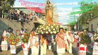 Vamos Pastorcita-Con Mariachi