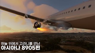 하늘 위에서 고라니를 만난 아시아나 8905편