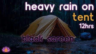 [Black Screen] Heavy Rain on Tent No Thunder | Rain Ambience | Rain Sounds for Sleeping
