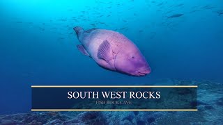 澳洲十大潜点 SOUTH WEST ROCKS 潜水 2021 | 鲨鱼群同游 | 洞穴潜水 | Fish Rock Cave Scuba Diving | Grey Nurse Sharks