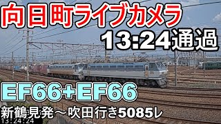 【向日町ライブカメラ】EF66(代走)＋EF66(ムド)新鶴見発～吹田行き5085レ