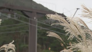 大山ますみず高原スノーパーク　今年も営業休止に